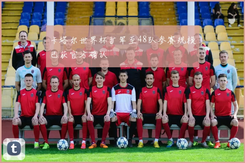 卡塔尔世界杯扩军至48队参赛规模已获官方确认